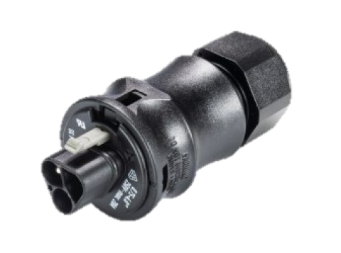 Wieland Wandsteckdose Aufputz inkl. Wieland RST20 Stecker