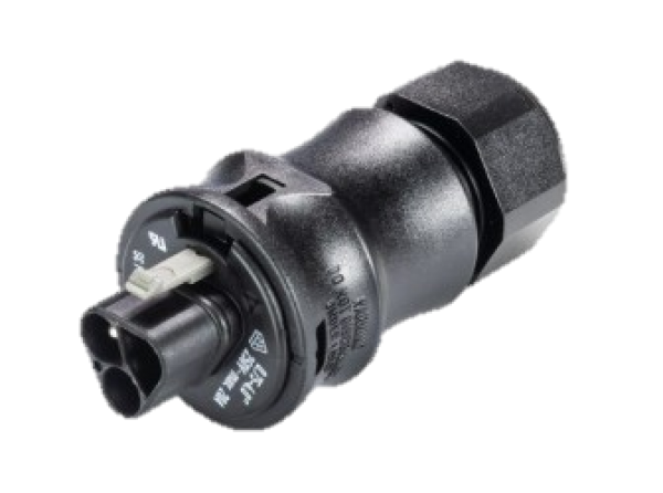 Wieland Wandsteckdose Aufputz inkl. Wieland RST20 Stecker